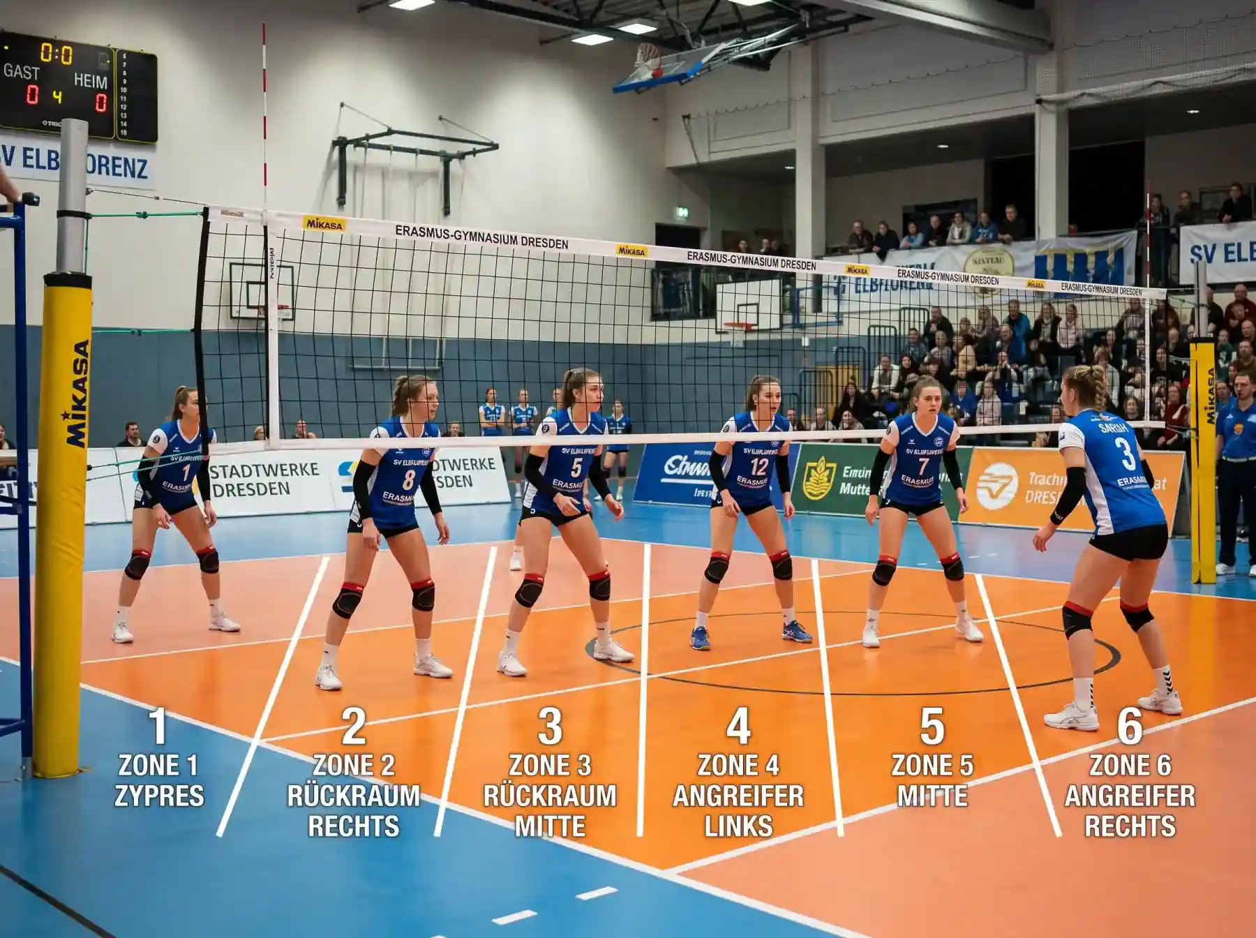 Volleyball Positionen erklärt: Außenangreifer bis Libero | Vollero